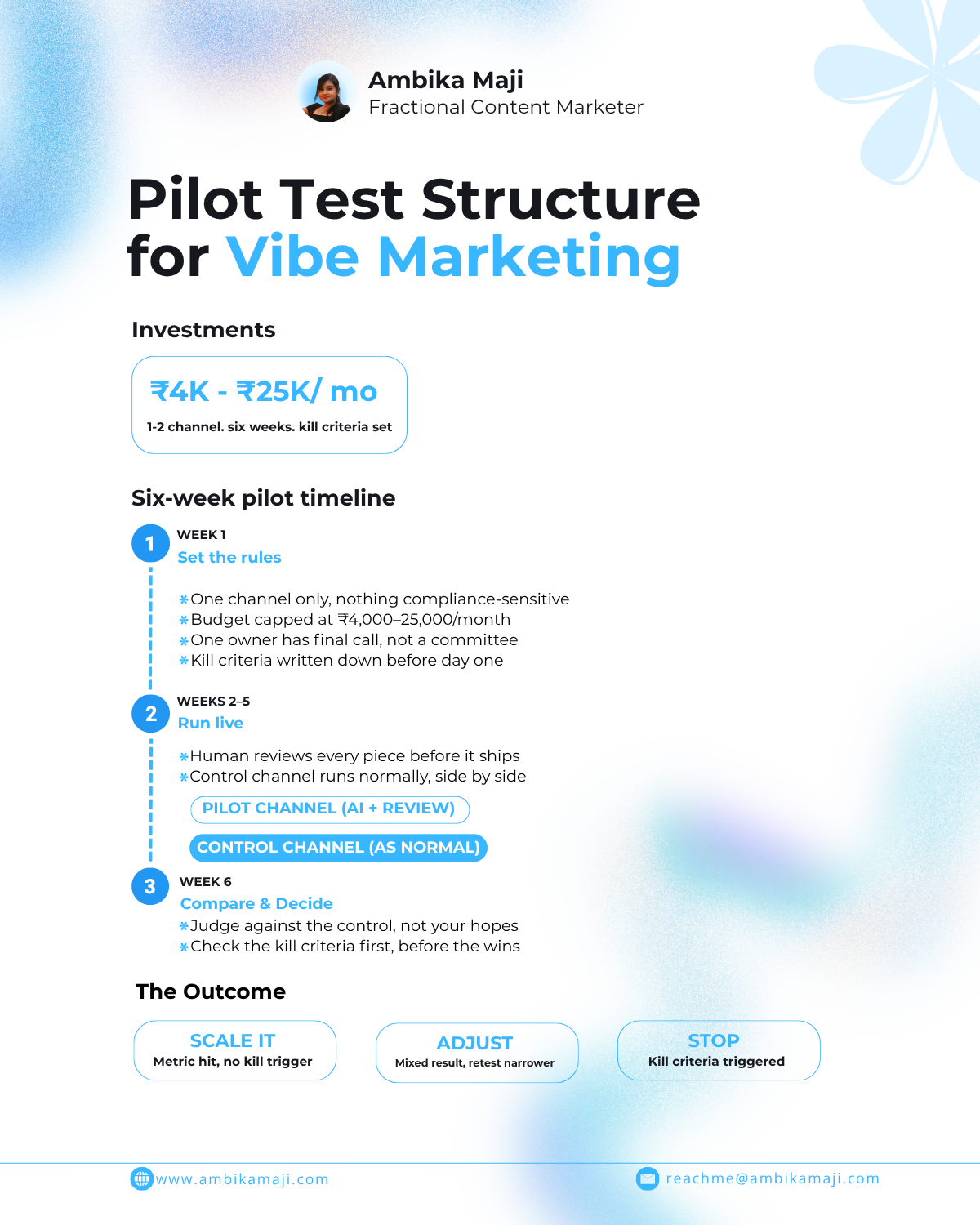 Pilot test structure for vibe marketing infographic